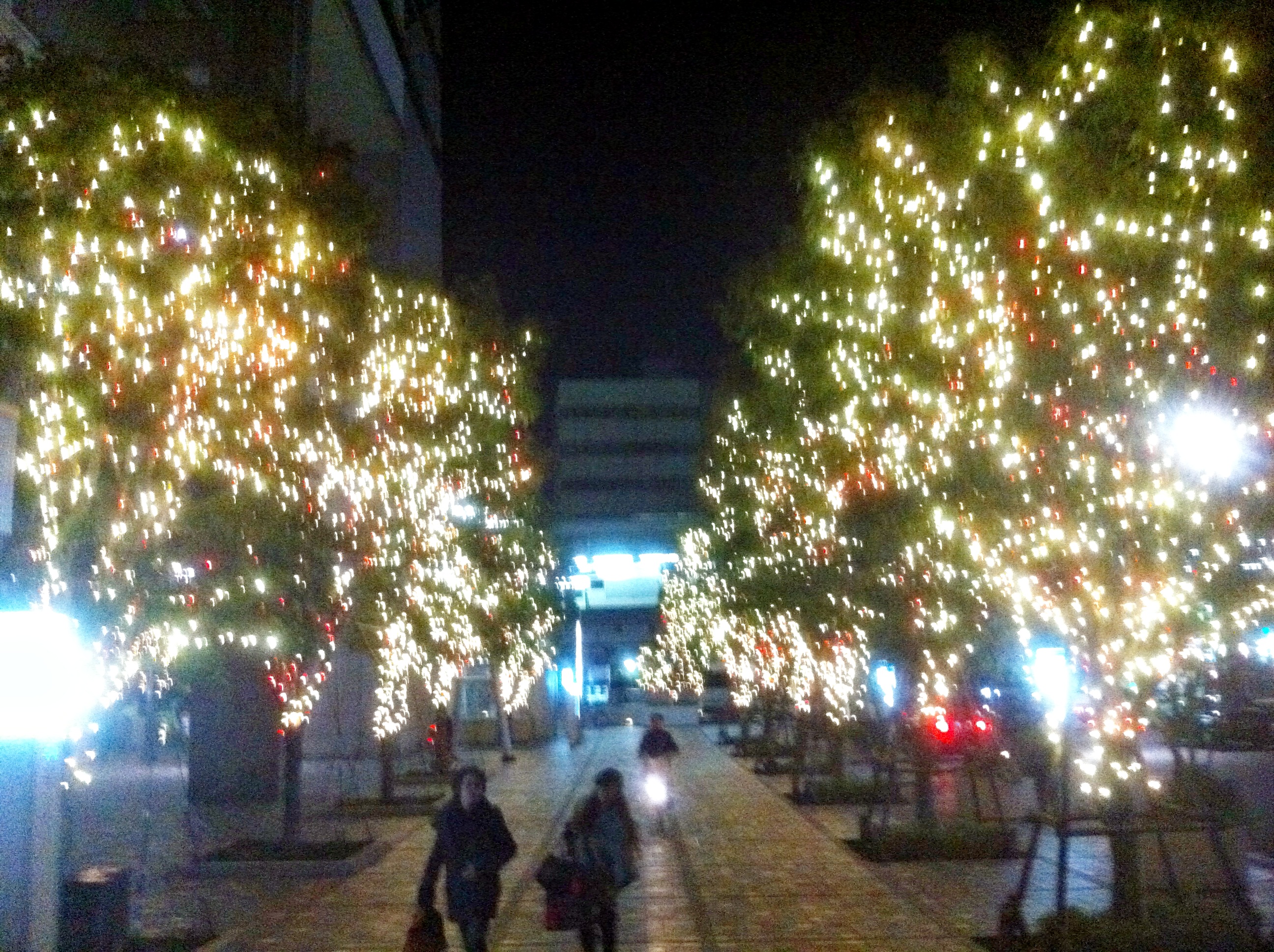 中目黒gtタワー前 並木道 11年東京クリスマスイルミネーション